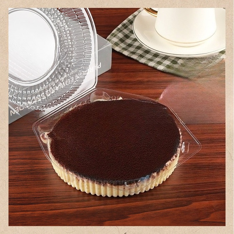 10 Pack Disposable Baking Cake - مراجعة Outdoor Camping Food وسعره