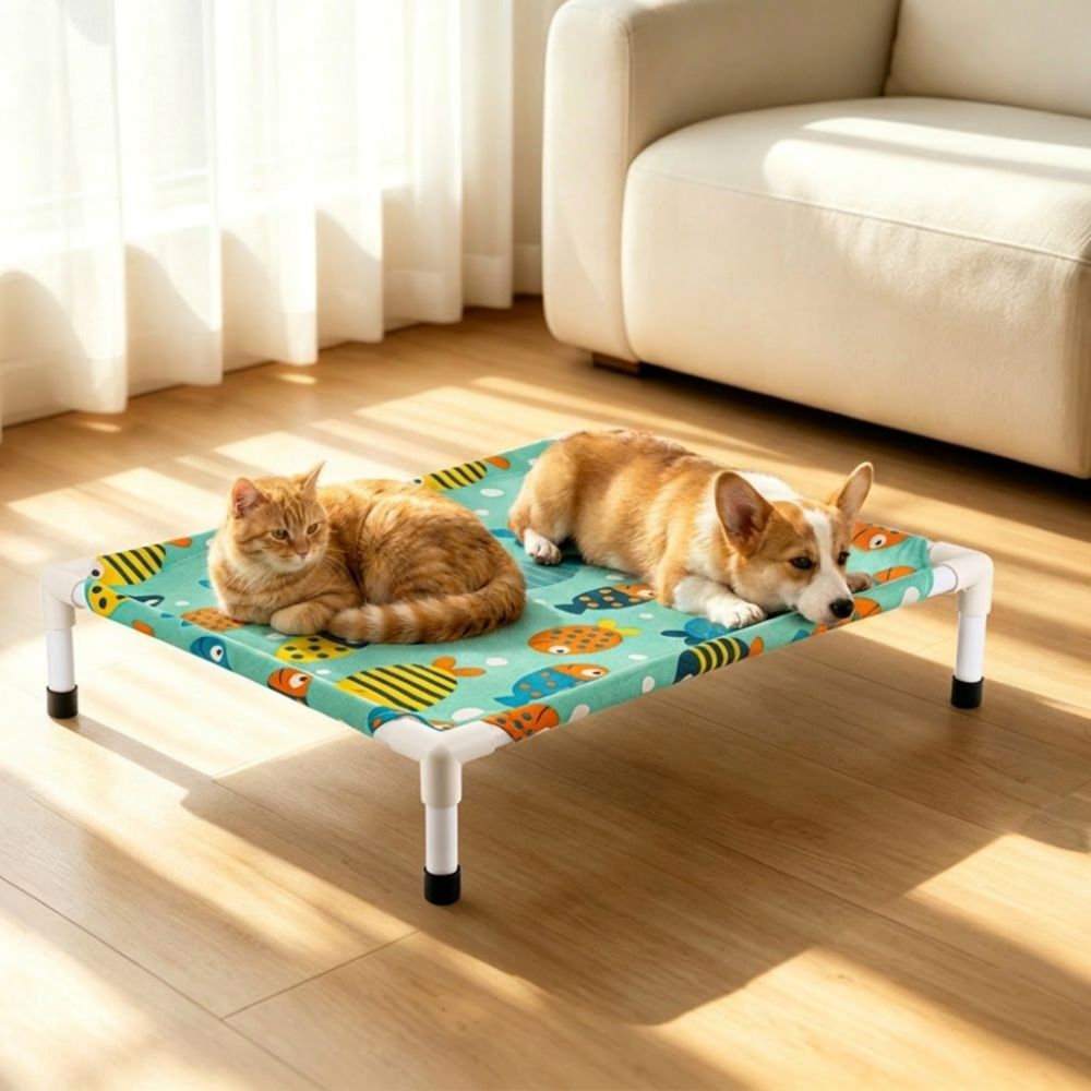Cat Lounger Removable Elevated - مراجعة Outdoor Camping Toys وسعره
