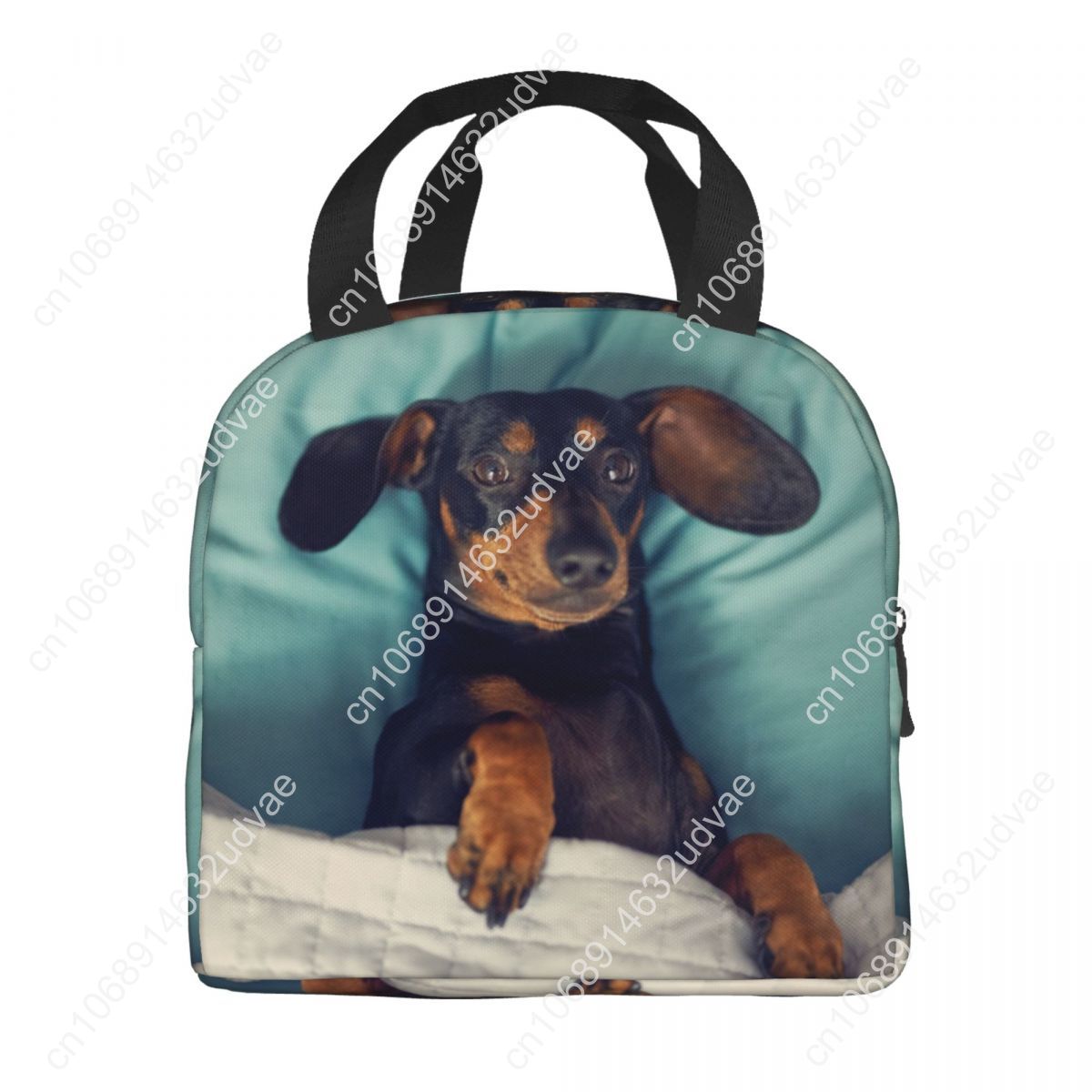 Dachshund Thermal Insulated Lu - مراجعة Outdoor Camping Food وسعره