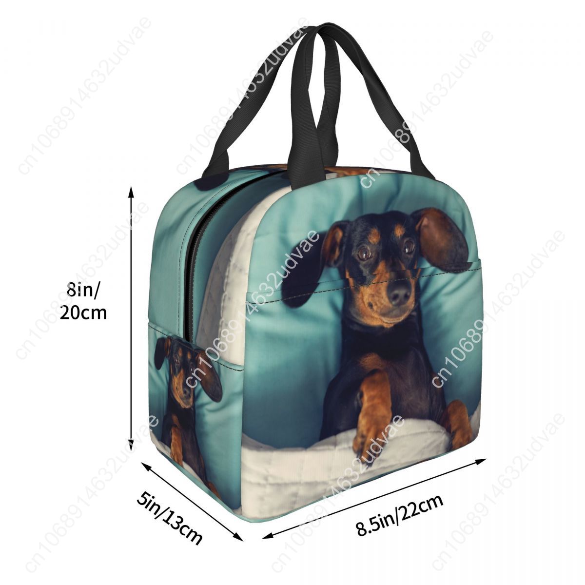 Dachshund Thermal Insulated Lu - مراجعة Outdoor Camping Food وسعره