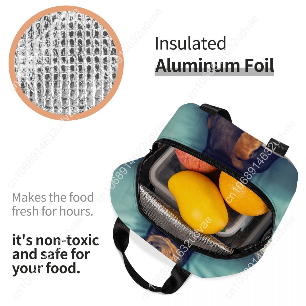 Dachshund Thermal Insulated Lu - مراجعة Outdoor Camping Food وسعره